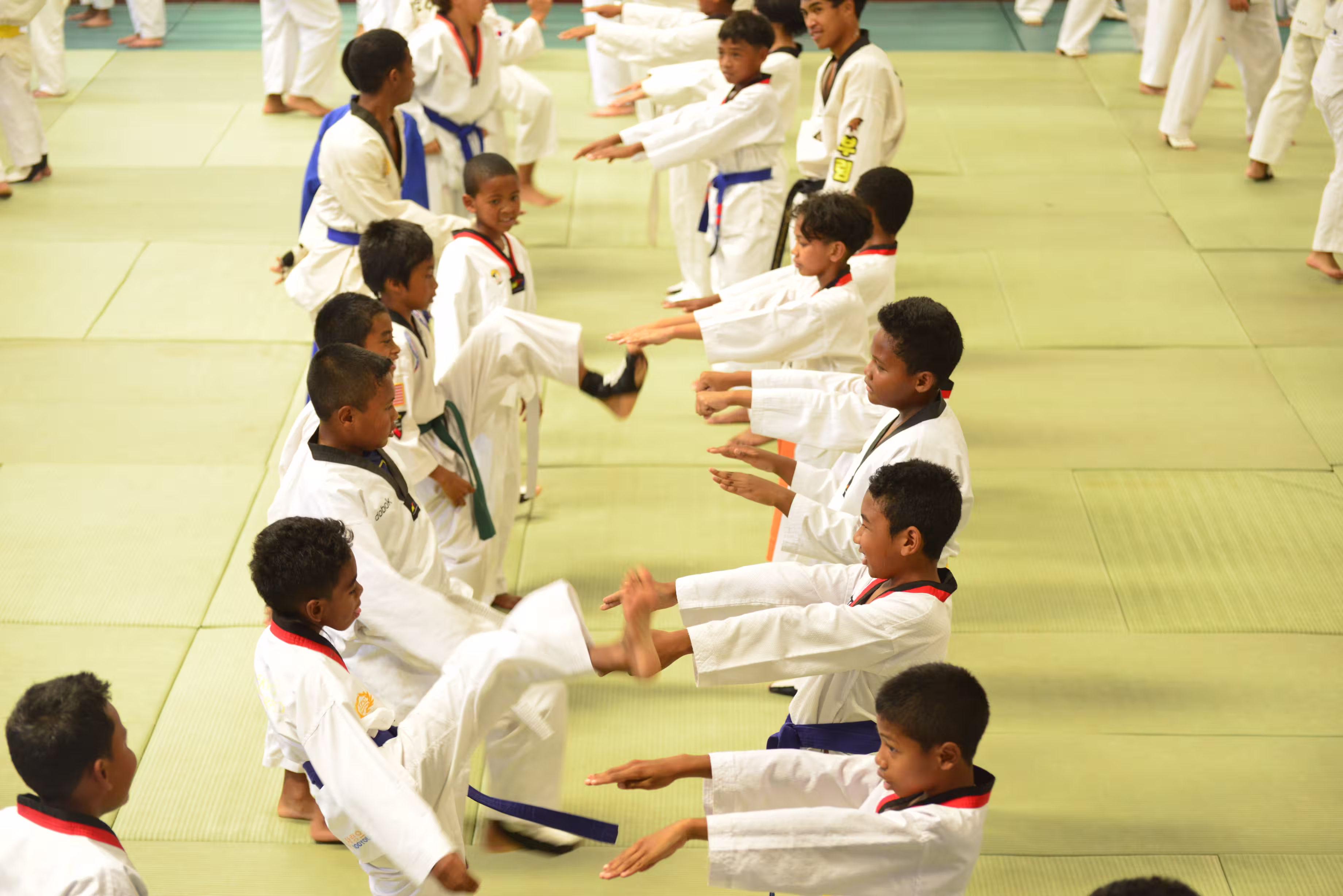 Dynamic Taekwondo Madagascar